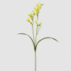 Fresias Amarelas  - 65cm